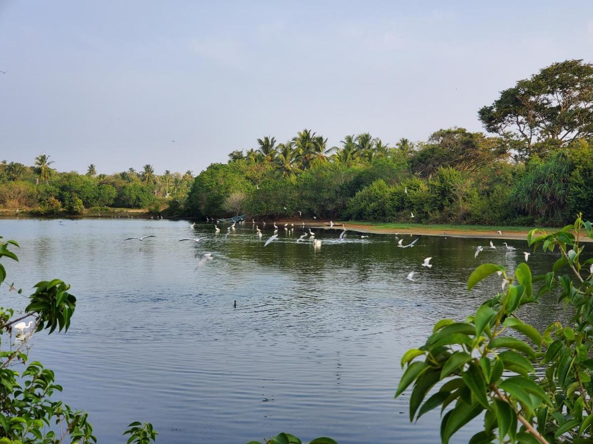 Ceu Ceylon Villa Tangalle Eksteriør billede